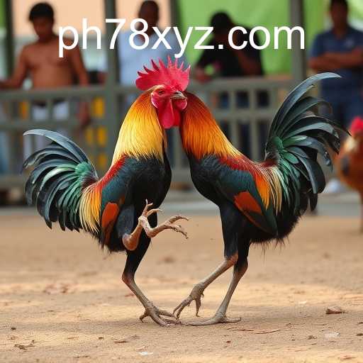 Exploring the World of Sabong Games with PH78